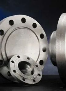 Hastelloy Flanges